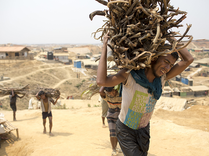 Studie: Mit Bioökonomie die Welt ernähren?