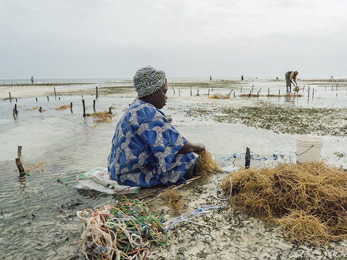Wer ernährt uns eigentlich?