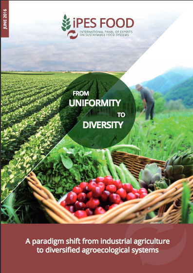 iPES FOOD: From Uniformity to Diversity