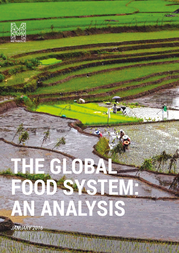 Analysis: The Global Food System