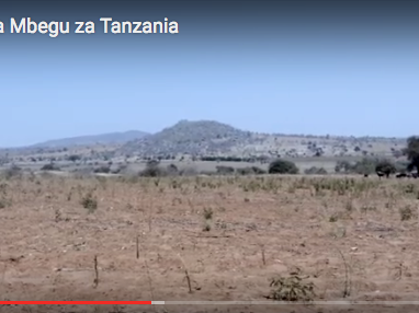 Dokumentarfilm: Seeds of Freedom Tanzania