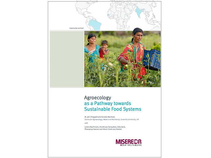 Agroecology as a Pathway towards Sustainable Food Systems