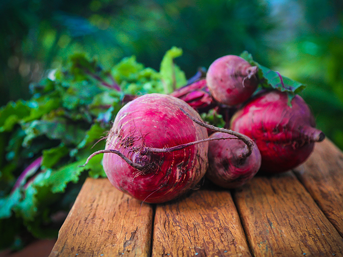 Ökologische Landwirtschaft und Suffizienz gehören zusammen