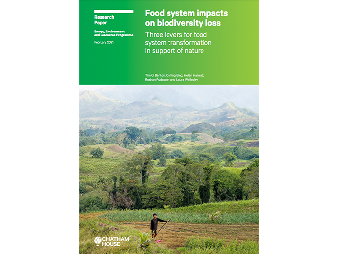 Food system impacts on biodiversity loss
