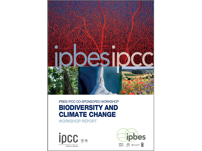 IPBES-IPCC Workshop Report: Biodiversity & Climate Change