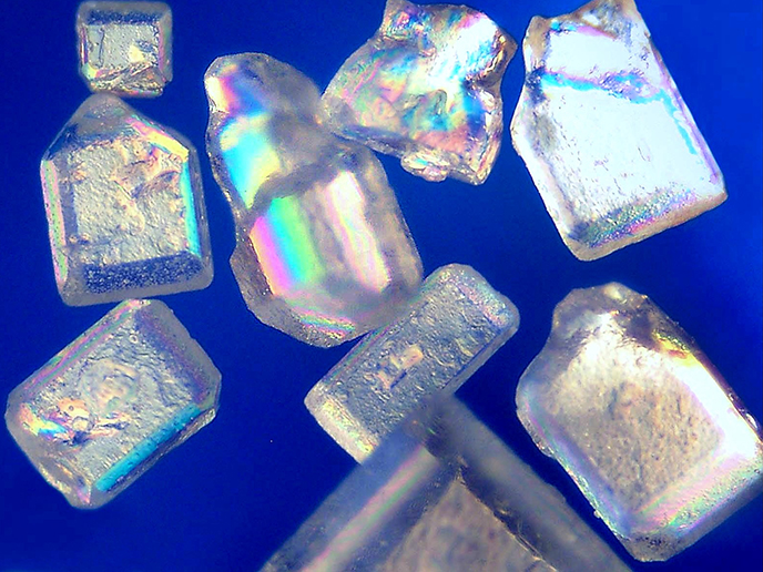 Andere Länder machen uns vor, wie es auch erfolgreich mit weniger Zucker geht – zum Schutz der Konsument*innen. Ein Kommentar von IWE-Vorstandssprecher Peter Wogenstein.